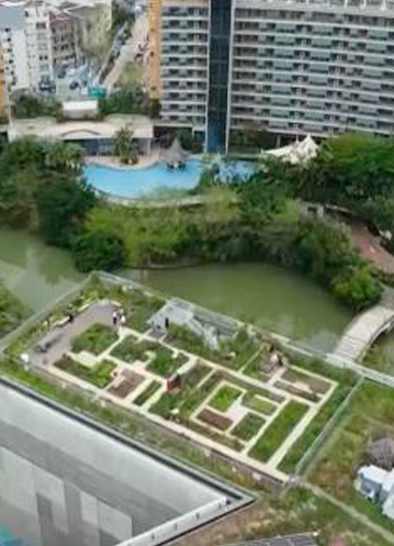 焦點訪談：綠色建筑 低碳生活